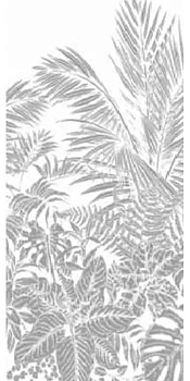Декор Anima Decor Tropici B Rett 120x280